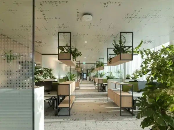 Natural Wood Tones and Biophilic Design