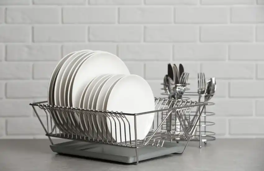 Place Dishes In A Dish Rack