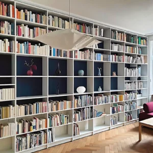 Large library shelf