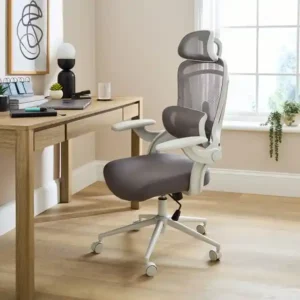 Burghley Ergonomic Mesh Office Chair
